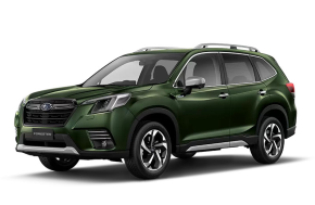 SUBARU CROSSTREK HATCHBACK at Eakin Brothers Limited Londonderry