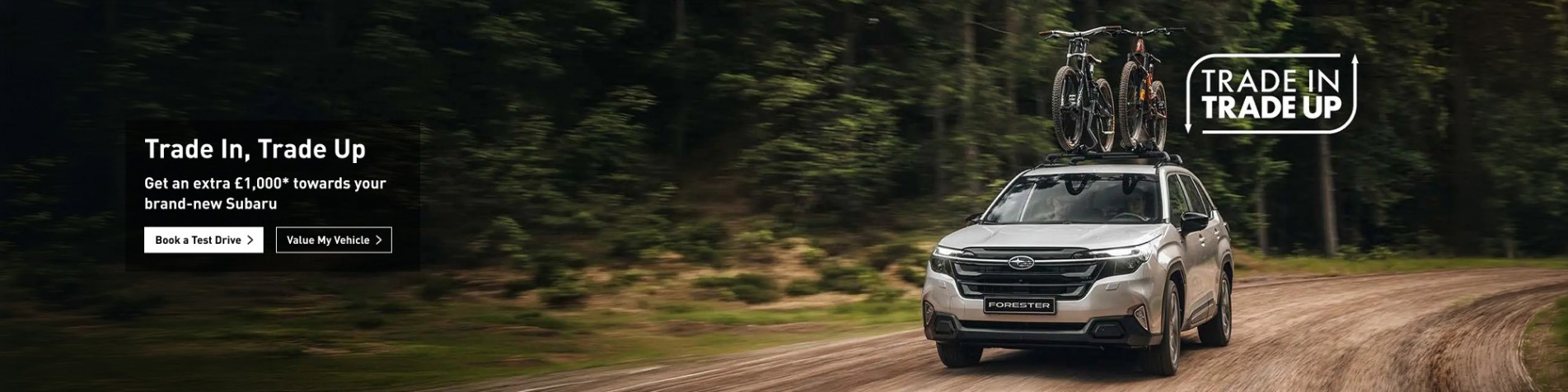 subarutradeintradeout